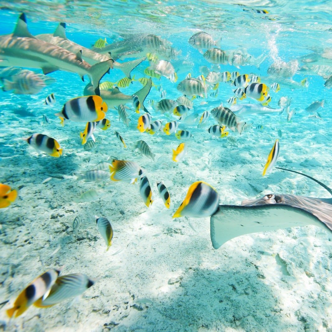 Archipel des Australes